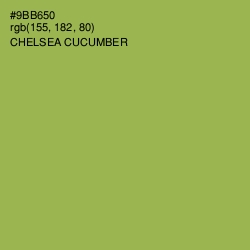 #9BB650 - Chelsea Cucumber Color Image